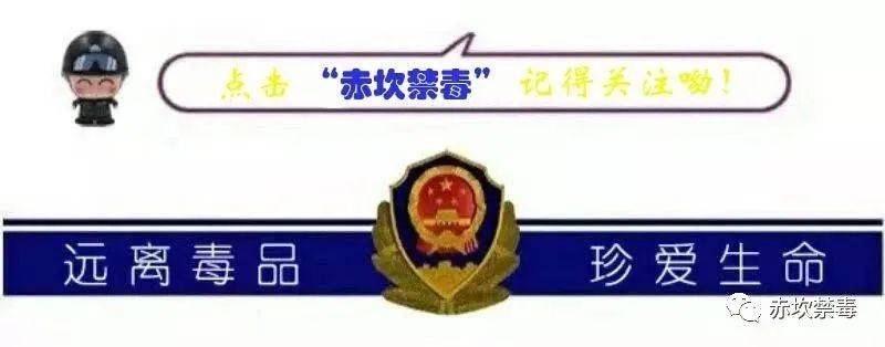 
中华丨习得一技之长 就业路上有技可施_AG真人官方网址(图4)