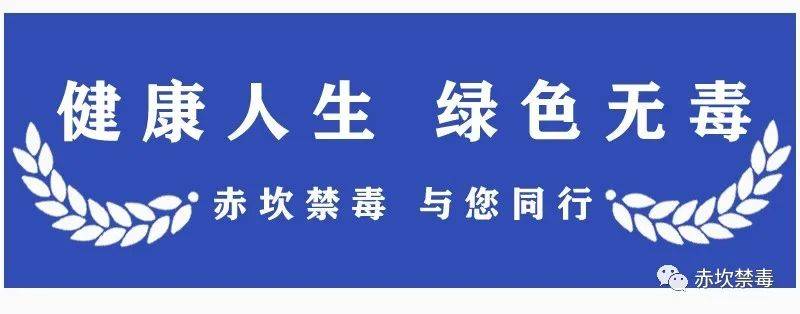 
中华丨习得一技之长 就业路上有技可施_AG真人官方网址(图5)